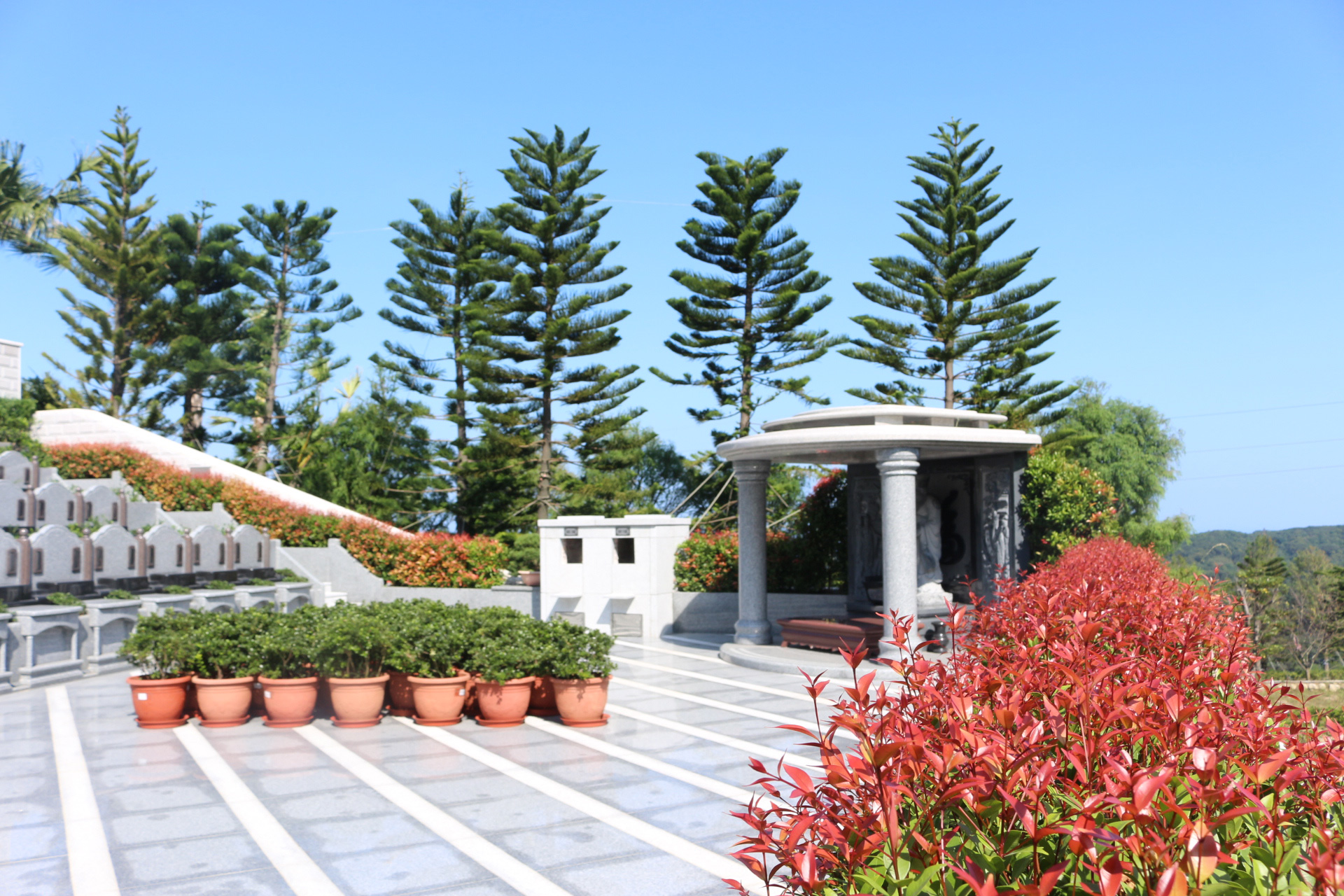 思源賜福│4灰位